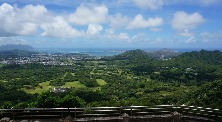 blog 5