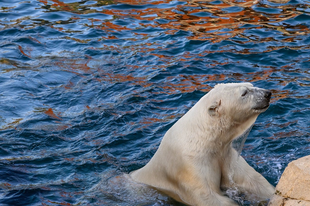 Cold Water, Warm Hearts: Why Our Family Swims in the Sea All Year Round