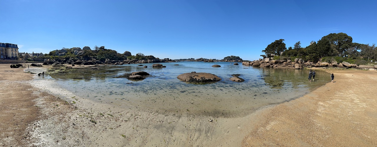 Tide Pool Treasure Hunt: Turning a Walk on the Rocks into a Family Adventure